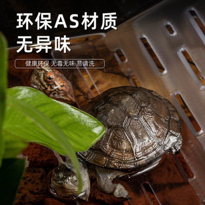 乌龟强力吸盘晒台爬台栖息地隔离板壁挂式养龟爬箱漂浮鱼缸