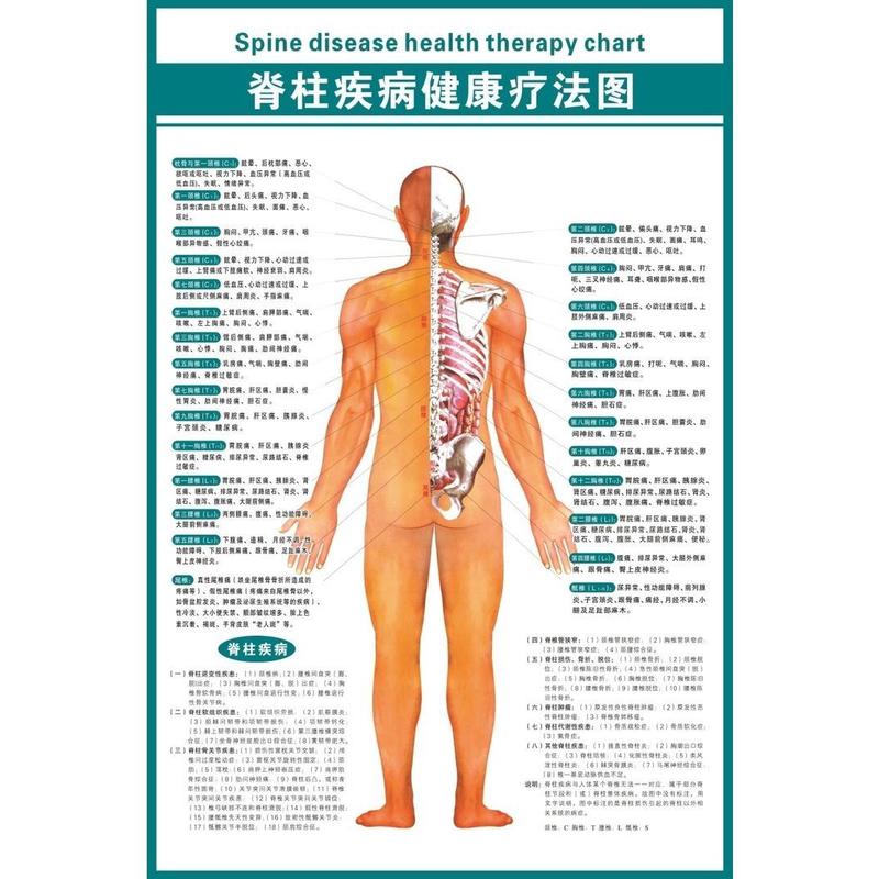 中医养生图海报脊柱节段损害的相关疾病及症象示意图墙贴纸挂图
