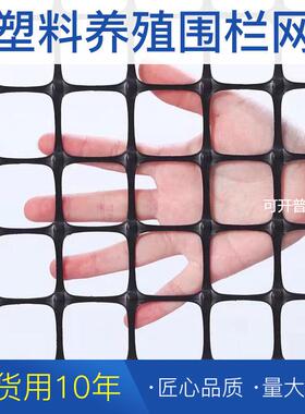 黑色养殖塑料网养鸡鸭网圈地果园圈玉米网玻纤土工格栅护栏围栏网
