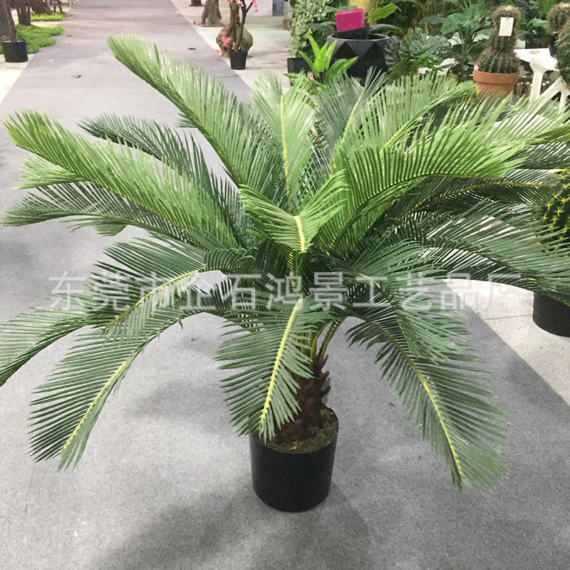 仿真铁树盆栽批发苏铁铁树好铁规格齐全老厂品质仿真树叶塑胶