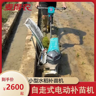 手推式补苗机电动整盘苗补苗机插秧机补边神器水田小型单行水稻苗