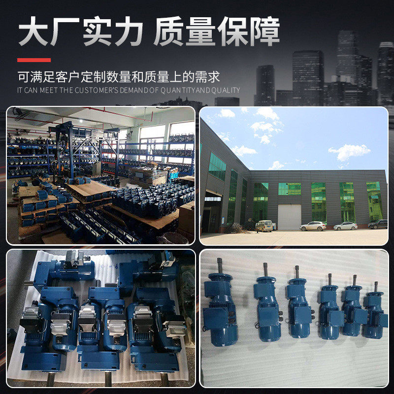 山东葫芦纯铜电机起重用定制精品多功能一吨2吨5吨环链电动葫芦