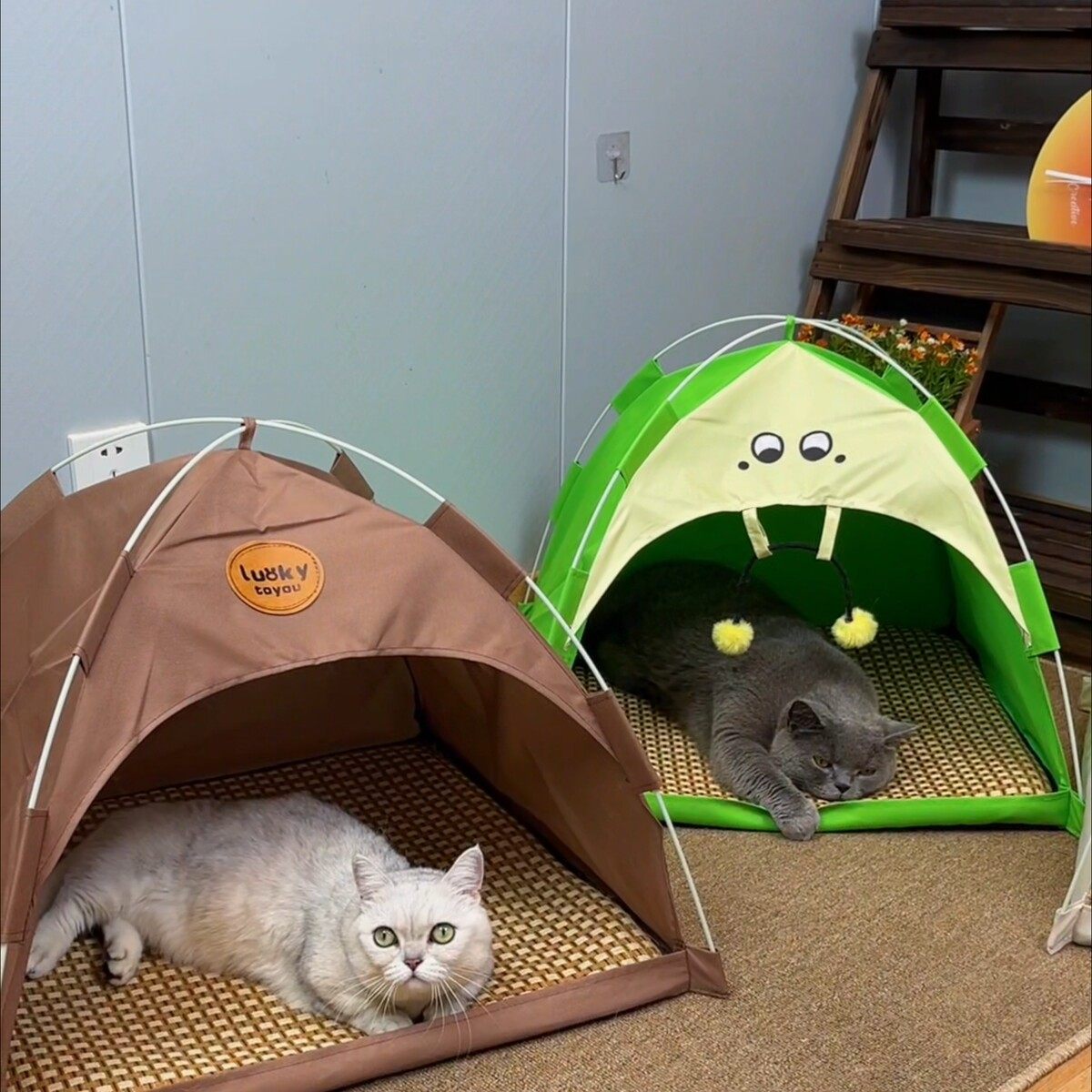 夏季帐篷猫窝猫别墅半封闭透气清爽凉席垫子三角款帐篷卡通狗狗窝,宠物/宠物食品及用品,猫窝/屋/帐篷/沙发,淘宝优惠券,粉丝福利购,淘宝优惠卷