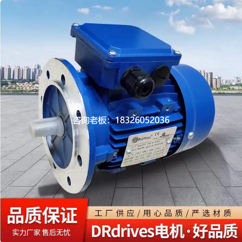 拍前询价原装意大利DRIVES电机 DRDRIVES刹车电机TS80B8 0.25KW B