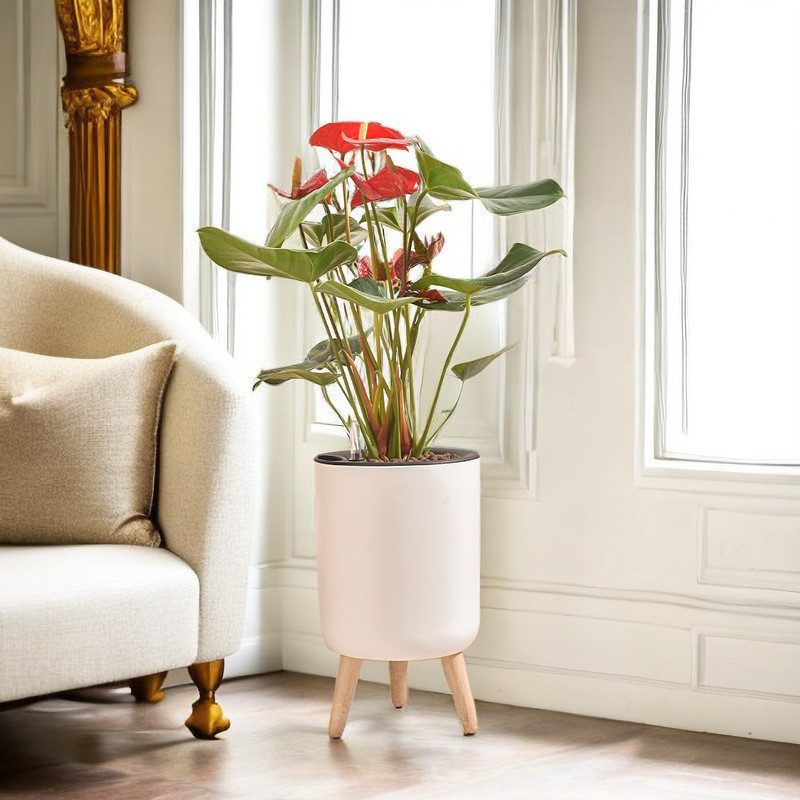 室内阳台落地高脚花盆塑料大号加厚盆栽落地式创意自吸透气加仑盆