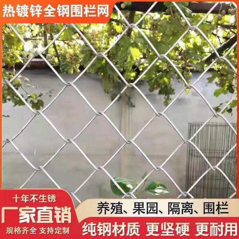 防护网围栏花勾栅栏羊镀锌铁丝网拦网网钢丝网护栏网牛果园猪养殖