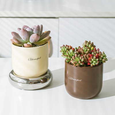 ins风多肉花盆带托盘轻奢高级感盆栽多肉专用精致小花盆陶瓷
