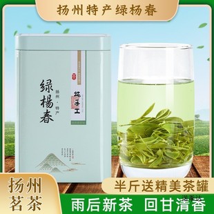 新货绿杨春2024雨后新茶仪征捺山绿阳春扬州产绿扬春茶叶