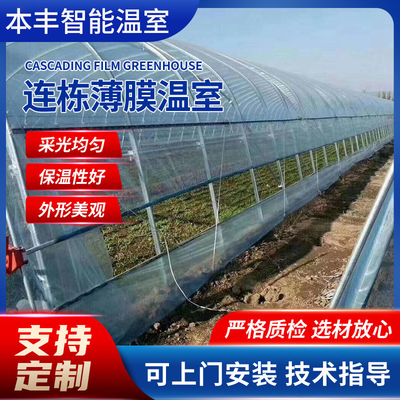 薄膜连栋温室大棚蔬果种植大棚草莓阳光薄膜日光温室花卉养殖大棚