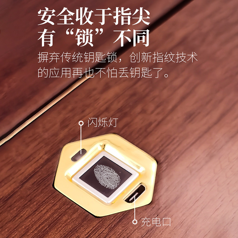 带锁指纹锁首饰盒密码保险箱2022新款实木质首饰收纳盒高档精致