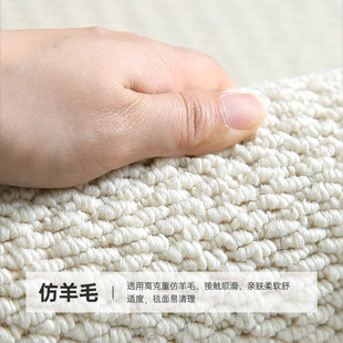 轻奢高级沙发茶几毯2024新款 仿羊毛客厅地毯法式 卧室床边满铺地垫