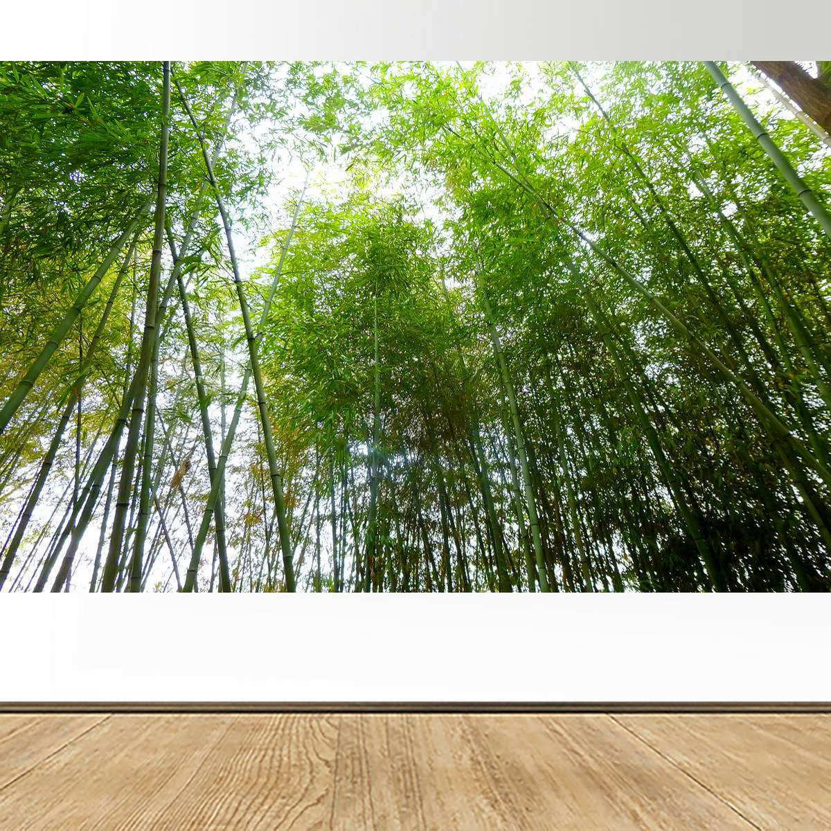 进门处玄关竹报平安竹林翠竹绿色植物山水画河流小溪大自然风景画