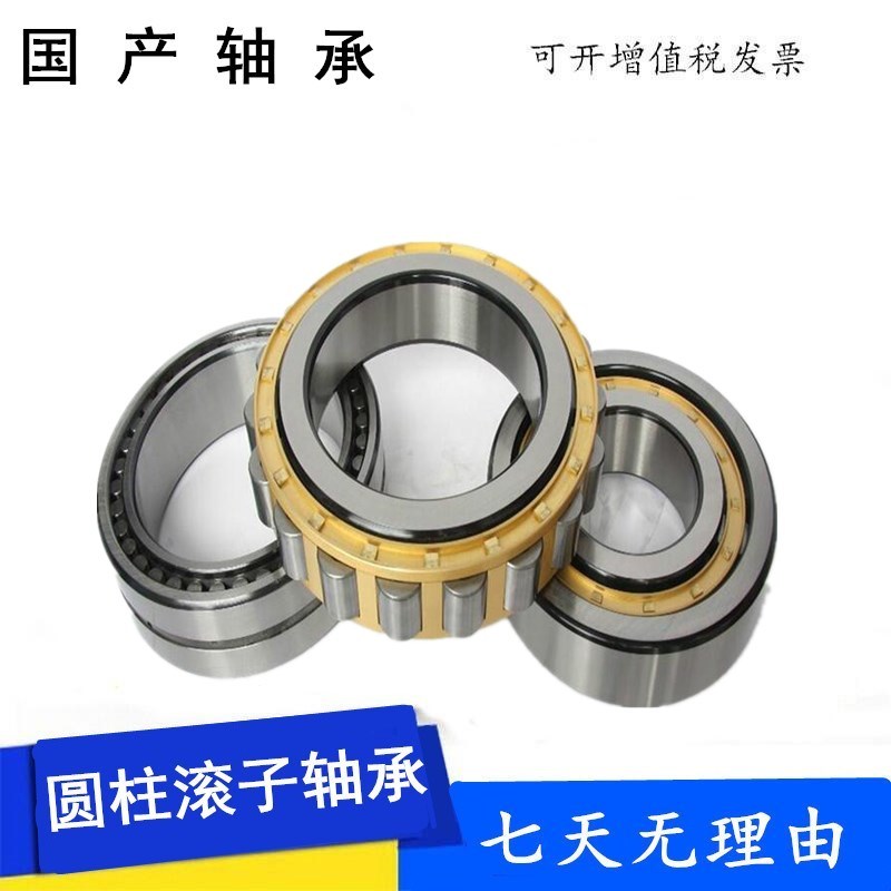 偏心轴承RN205 206 307 RN309 312 RN328 219 222 228EM减速机