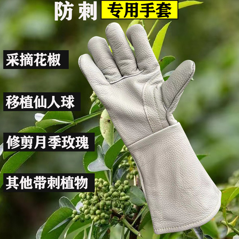摘花椒修剪月季专用防刺手套加厚牛皮剥捡板栗移植仙人球掌防扎刺