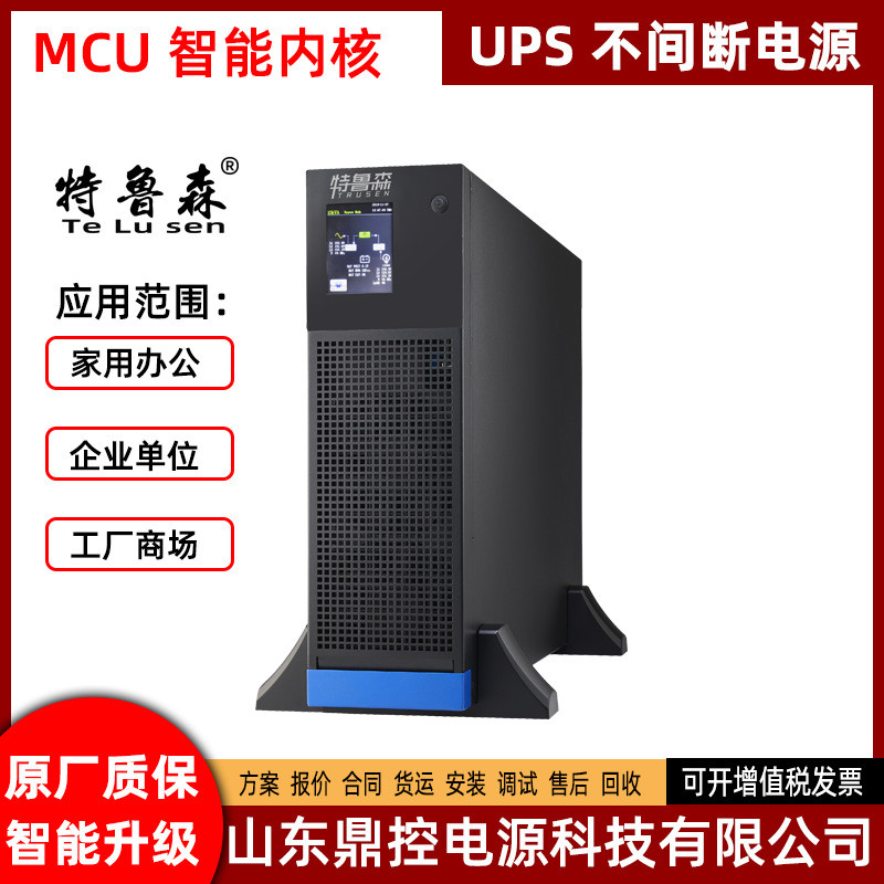 特鲁森TLS1103-LR机架式UPS不间断电源3KVA2400W外接电池包柜巡检