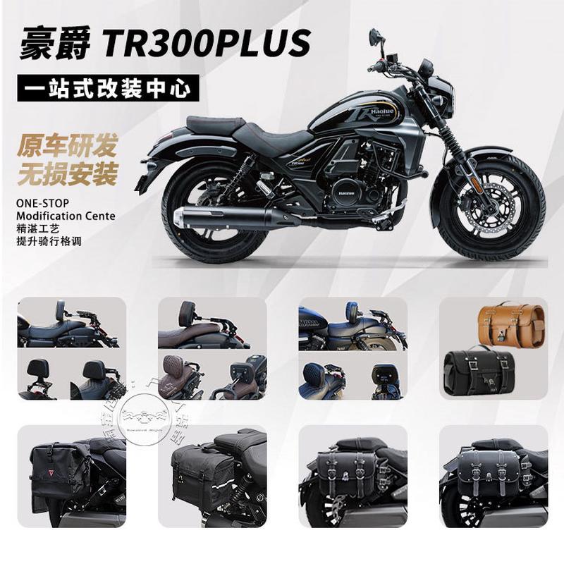 适用豪爵TR300 PLUS摩托车边包复古侧边箱折叠靠背货架尾包改装