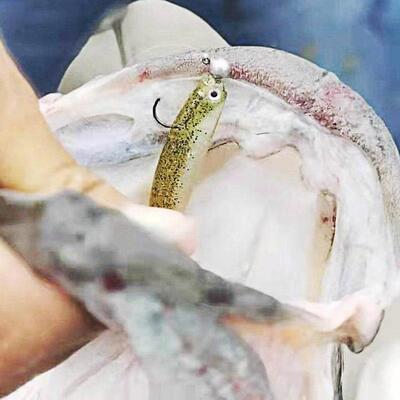 哈雅布萨鱼钩渔具宽腹曲柄钩直柄钩软饵钩带刷丝铅头钩