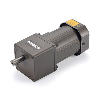 现货速发新品雷奥哈德减速h0/120/250W单相交流马达齿轮变速220V