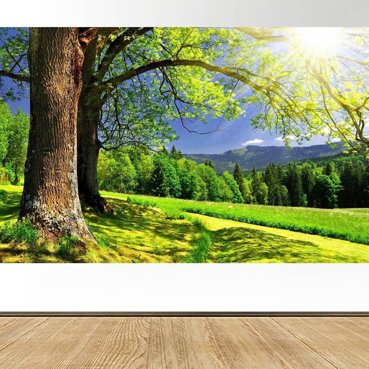 阳光树林绿色草地客厅卧室装饰画护眼公园树木大树墙贴风景壁画图片