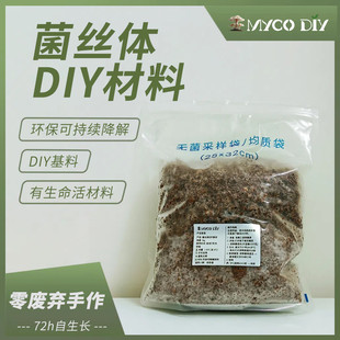 自然生长可降解菌丝体材料 生物基材DIY花盆材料包蘑菇培养基料