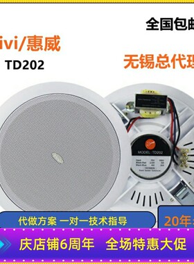 Hivi/惠威TD202定压吸顶式喇叭天花嵌入式音响背景音乐广播音箱