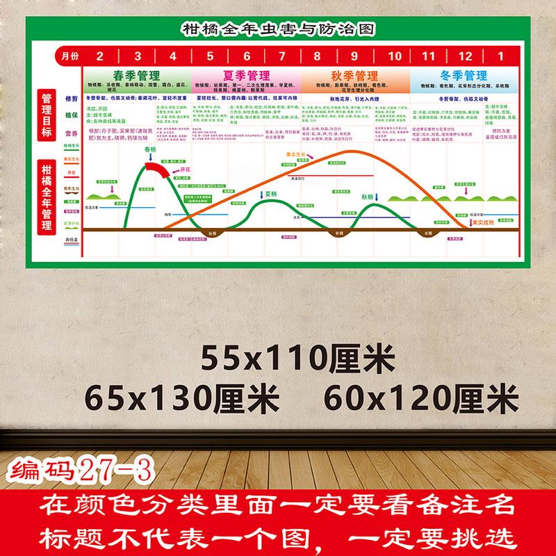 柑橘虫害与防治月历图柑橘防治柑橘病虫害防治海报农作物杂草图谱