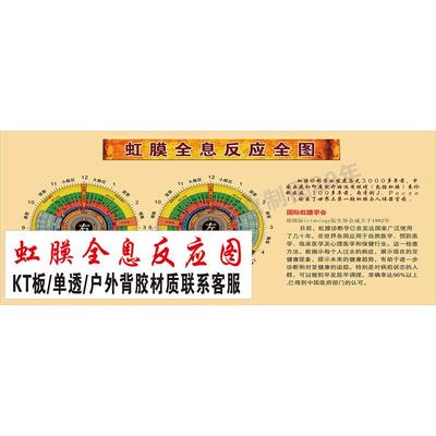 虹膜全息反应墙贴纸眼科贴纸医学知识挂图医疗科普宣传海报装饰画
