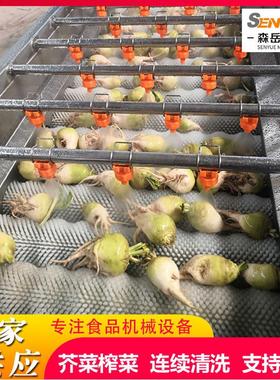 木薯毛辊清洗机胡萝卜毛刷喷淋清洗机农产品土豆平行毛辊清洗机