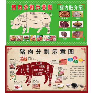 菜市场生鲜超市猪肉分割示意图背景墙贴广告展板猪肉分解海报贴纸