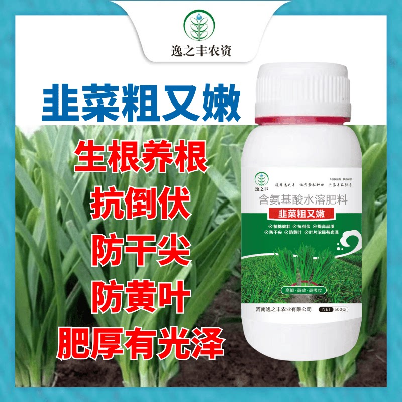 韭菜专用肥韭菜粗又嫩直立挺拔素叶片黑绿硬朗抗倒伏防干尖黄叶等