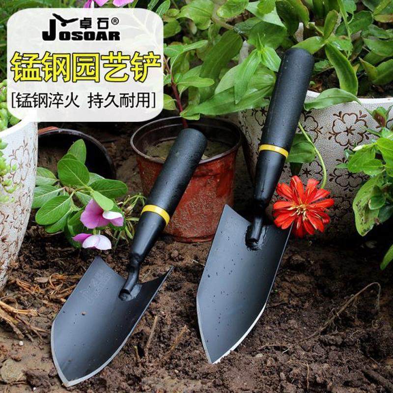 锰钢小铲子加厚园艺工具种花挖土神器养花挖野菜铁锹种菜家农用,鲜花速递/花卉仿真/绿植园艺,铲子,淘宝优惠券,粉丝福利购,淘宝优惠卷