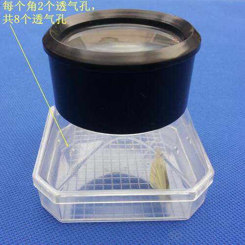 昆虫观察盒 带透气孔 放大镜昆虫盒饲养瓶 生物教学仪器实验器材
