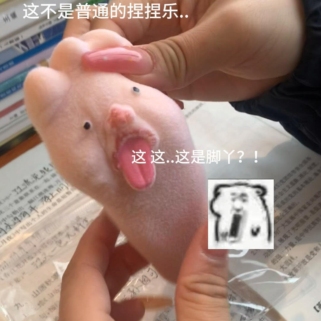 卡通大脚丫捏捏乐猎奇可爱大脚丫软糯Q弹工作学习解压脚掌捏捏乐,玩具/童车/益智/积木/模型,捏捏乐/按按乐,淘宝优惠券,粉丝福利购,淘宝优惠卷