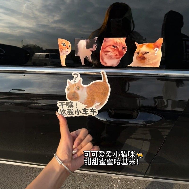 meme猫咪搞笑个性文字车贴搞笑表情包创意装饰贴防水后窗玻璃贴画,汽车用品/电子/清洗/改装,汽车装饰贴/反光贴,淘宝优惠券,粉丝福利购,淘宝优惠卷