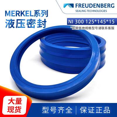 德国原装进口MERKEL液压密封XN9168NI300125*145*15耐磨