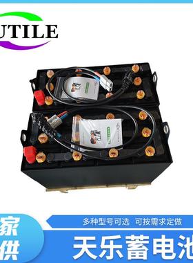 电动搬运车电池D-25024V250Ah力至优2.5吨托盘搬运车电瓶