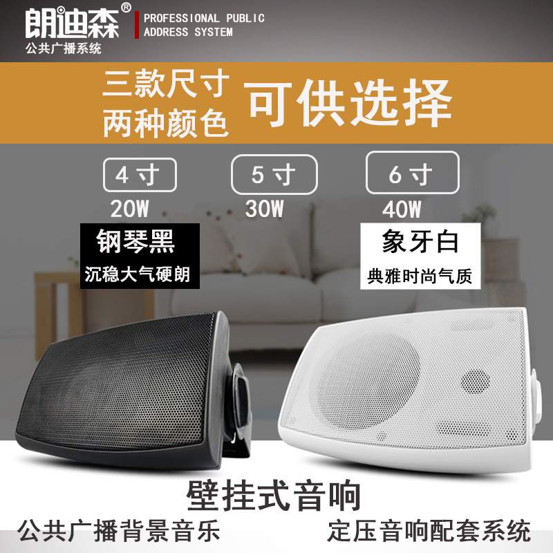 朗迪森公共广播定压40W会议商场室内背景喇叭音箱HV款 壁挂音响