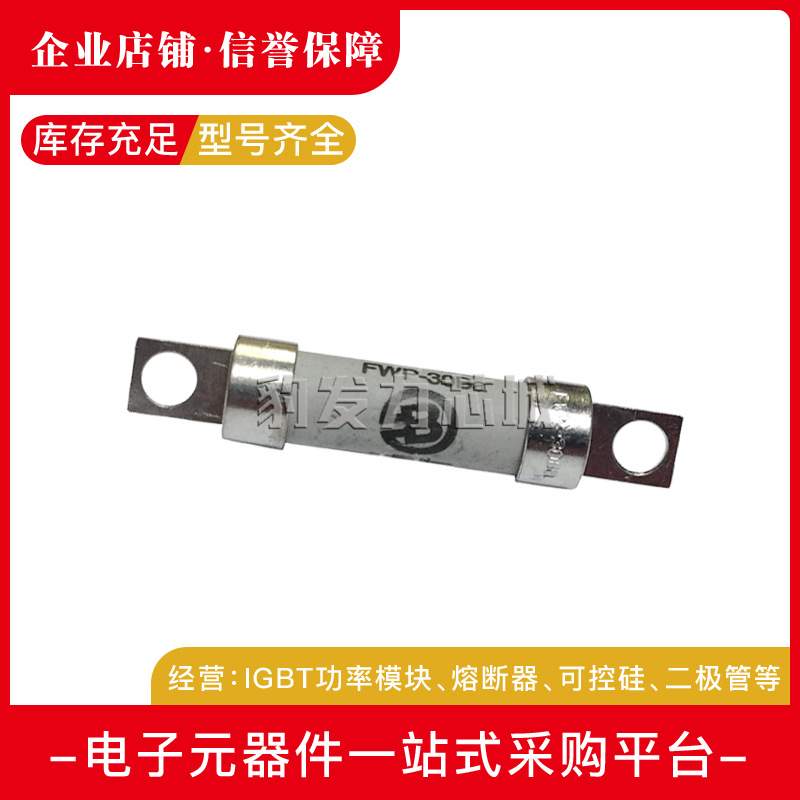 FWX-35A FWX-40A FWX-45A/50A FWX-60A/70A/80A快速熔断器保险丝