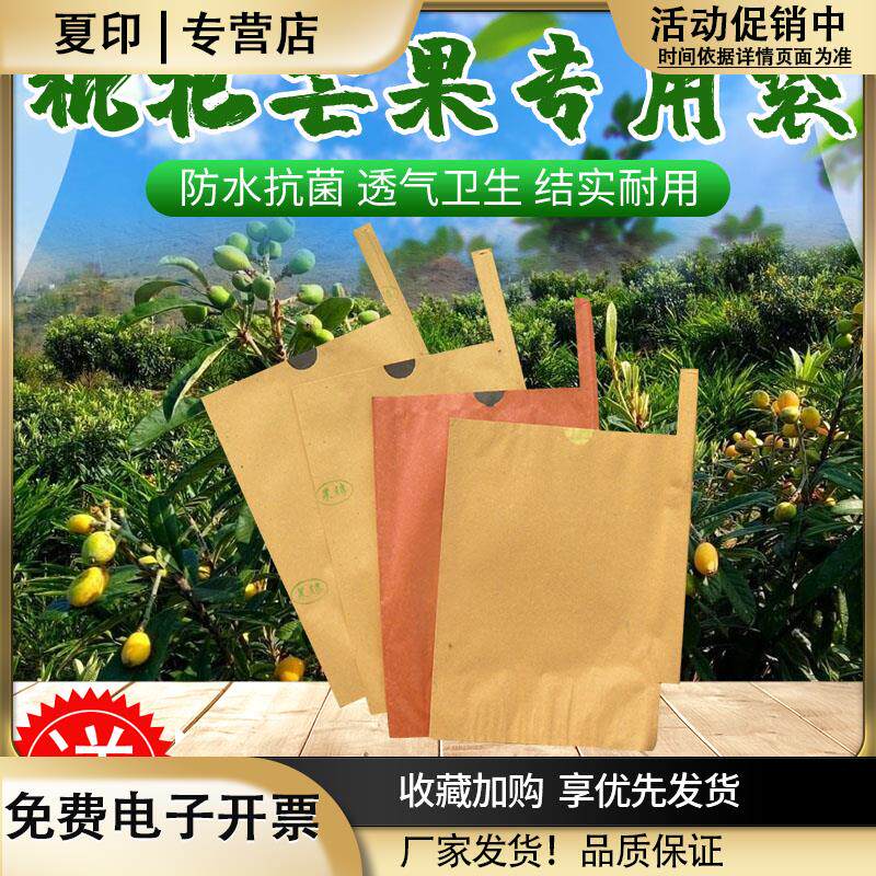 枇杷专用套袋枇杷袋子梨芒果袋子莲雾释迦防虫防水防雨保护水果套