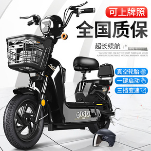 娅帝艾玛同款新国标电动自行车两轮成人电动车小型双人电瓶车