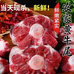 牛尾巴牛肉生鲜整根分切切段原切牛骨牛肉冷冻牛尾骨宝宝辅食