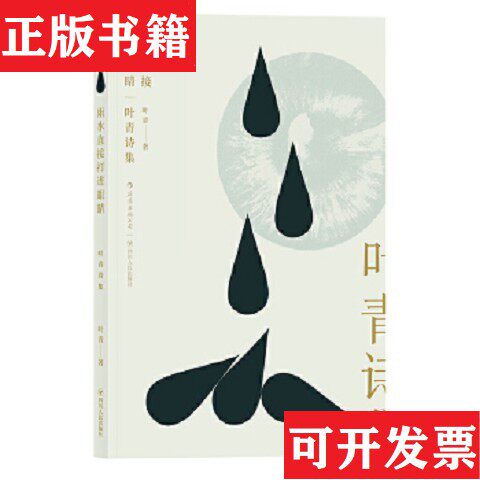 【正版现货】雨水直接打进眼睛：叶青诗集叶青四川人民出版社