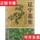 辽宁花生苏君伟中国农业科学技术出版 现货 社 正版