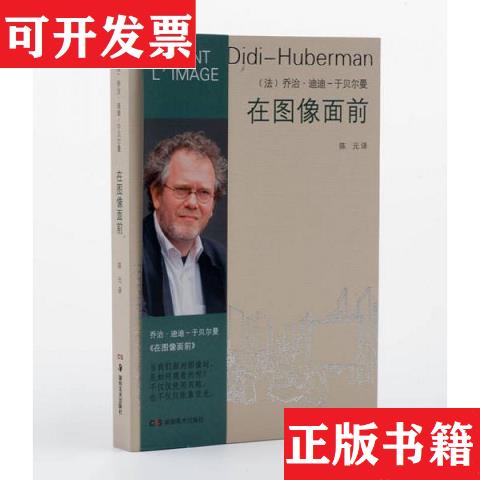 【正版现货】在图像面前[法]乔治·迪迪-于贝尔曼湖南美术出版社