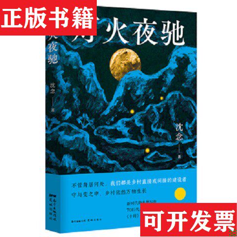【正版现货】灯火夜驰沈念著花城出版社