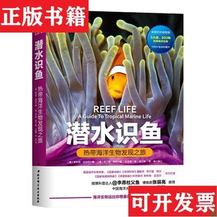 潛水識魚：熱帶海洋生物發現之旅 現貨 正版 社 塑封未拆斯科特·邁克爾著；王金燕 李昂譯北京科學技術出版 原裝