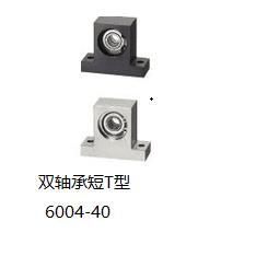 带座轴承座双轴承短T型全系列孔径20 BGMWB6004ZZ-40