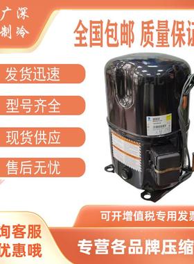 TAG4534Y TAG4540Y TAG4528Y全新原装泰康中低温活塞压缩机 R134A