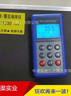 北京时代牌TT230型涂层测厚仪 测厚仪涡流漆膜测厚仪0-1250um