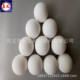 φ30mmφ40mmφ50mmφ60mmφ70mmφ80mm中铝球高铝球陶瓷球研磨球